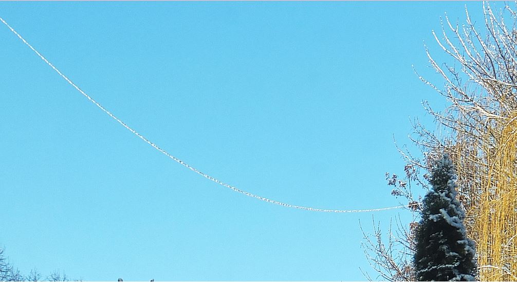 Vereister Spinnfaden (vermutlich), der bei Frost entstand und dessen Eisummantelung im Sonnenschein antaut