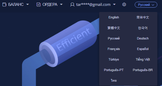 Выбор языка интерфейса Выбор языка интерфейса