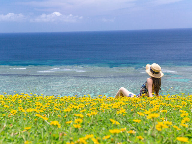 宮古島ひまわり畑