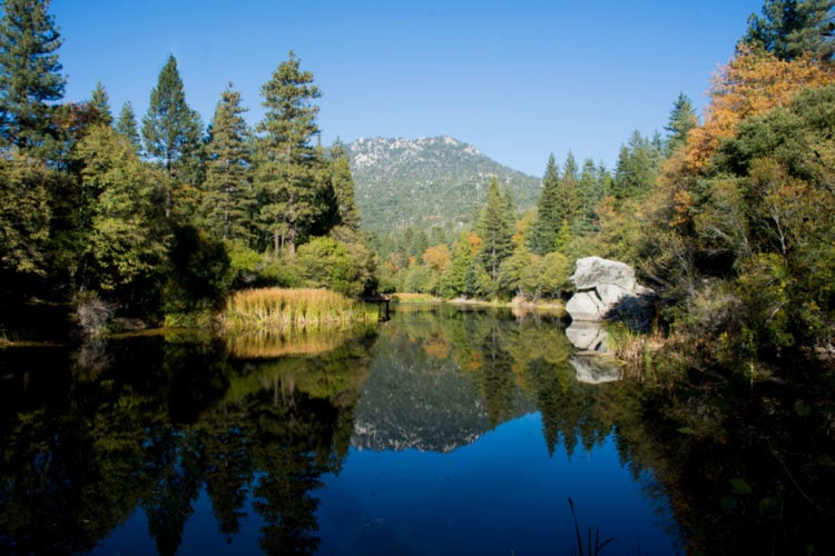 Scale the rocks at Idyllwild Park