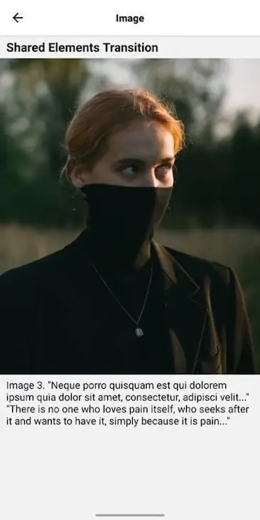 屏幕会显示被点击的图片