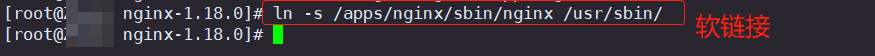 创建软连接后直接 nginx 启动