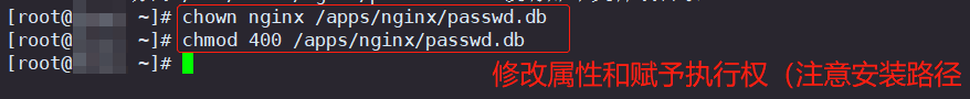 修改属性和赋予执行权