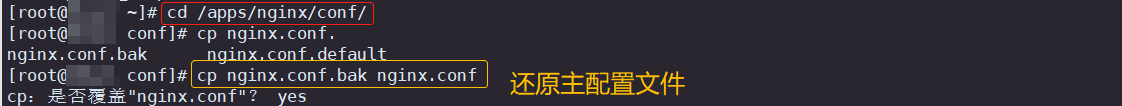 还原 nginx 主配置文件