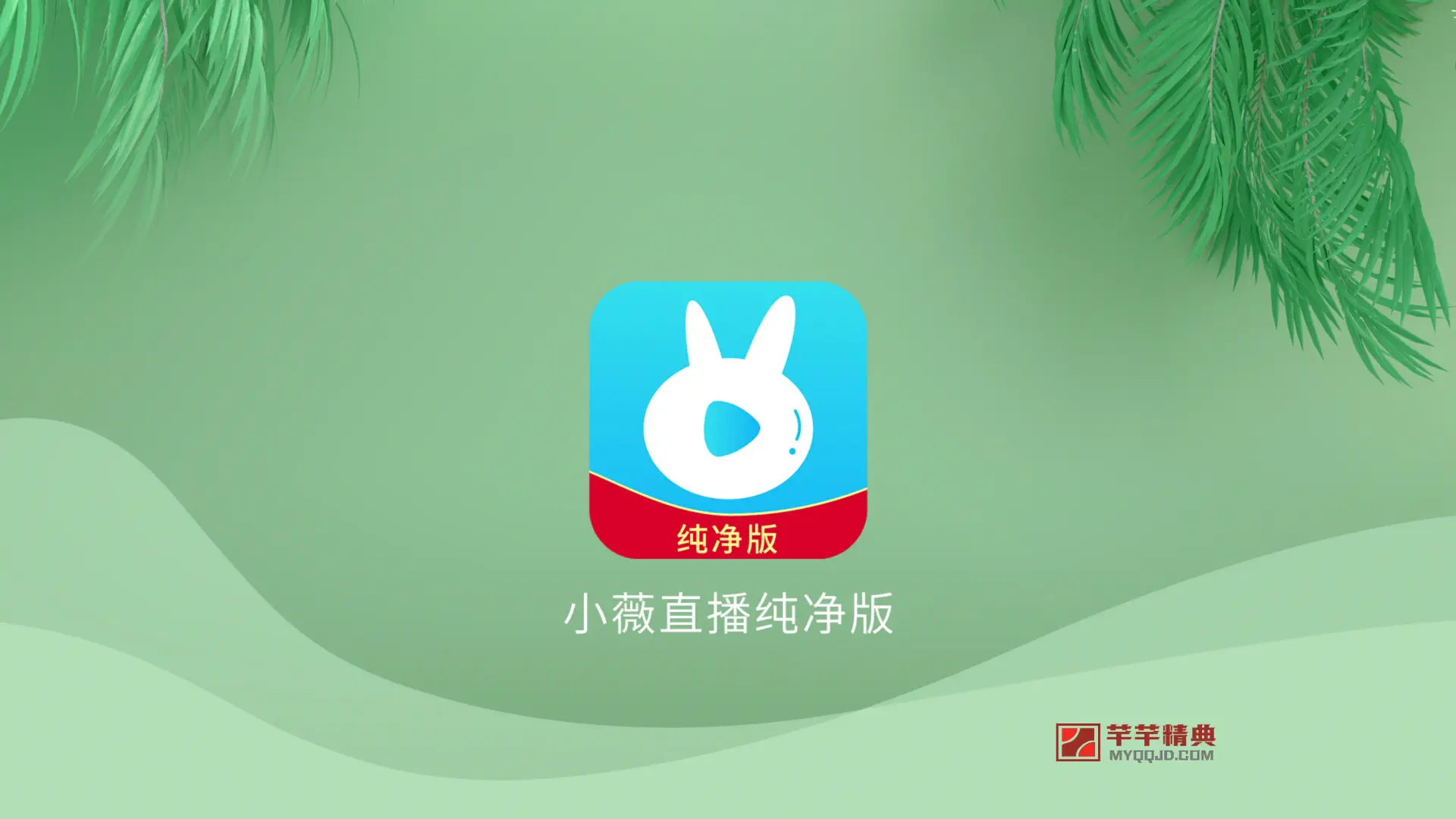 小薇直播v2.7.0.1纯净版【盒子应用/高清直播】