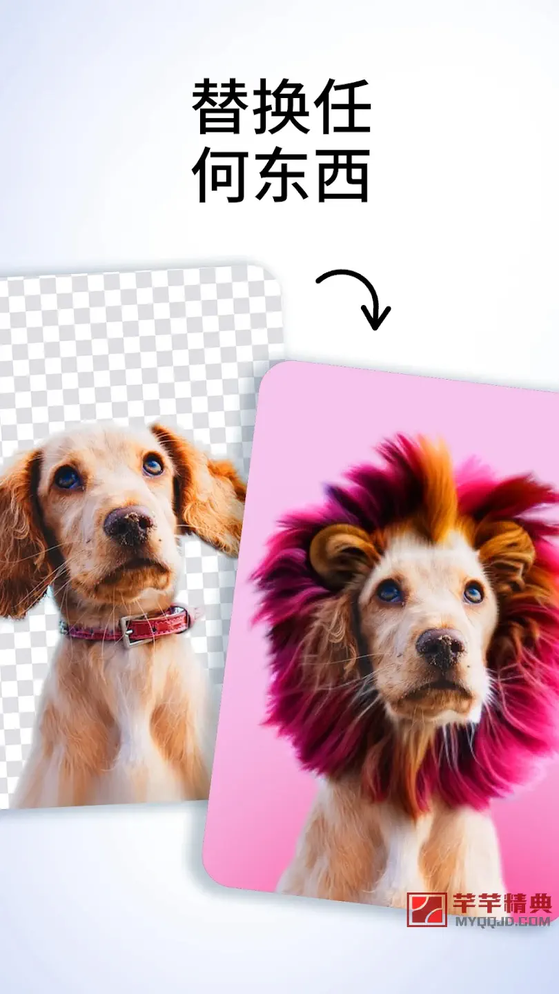 百色特Bazaart_v2.6.7高级版/照片编辑设计拼贴神器