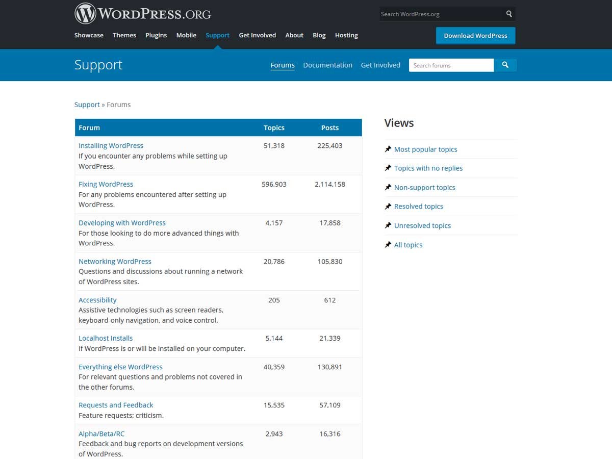 WordPress-support