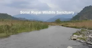 Sonai Rupai Wildlife Sanctuary