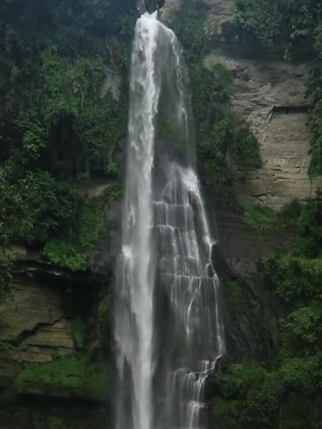 Dampa Tiger Reserve