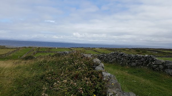 ¡¾ÆÚÄ©±¸¿¼¡¿ÈýÄê¼¶ÊýѧÊǸö¿²£¿×¥×¡Õâ·Ý¸´Ï°¼Æ»®£¬°ïº¢×ÓÎÈÎÈ¿ç¹ýÈ¥