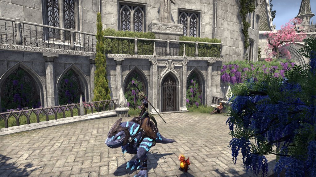 Screenshot Saturday: New mini-me in ESO