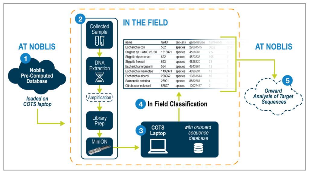Diagram of full analysis pipeline.