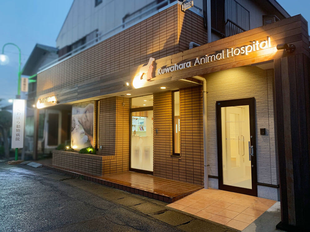 どうぶつ病院 看板デザイン オシャレ