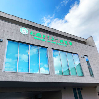 千葉県鎌ヶ谷市道野辺中央 動物病院 看板