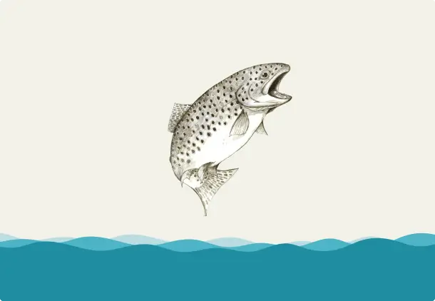 Odette the fish jumping out of the water