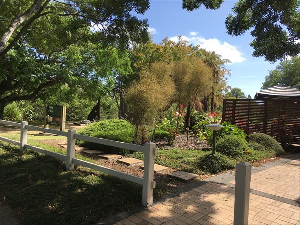 カフェの前の公園