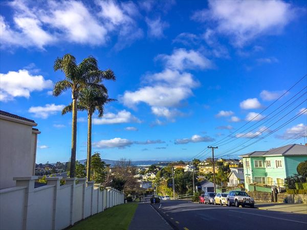カフェ周辺には良い学校が多い