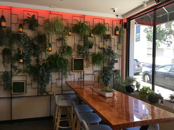 カフェにはプラントが多い