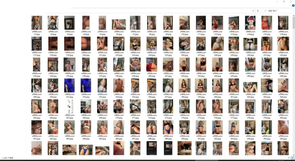 欧美极品八字奶博主 skybri(Sky Bri)onlyfans资源合集下载【1256P+616V】 23 26040304475