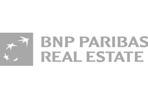 logo-bnp-grau-300x200