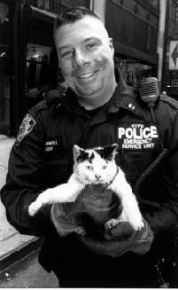 Brian G. McDonnell 3