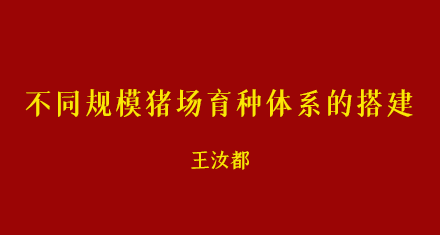 王汝都:不同规模猪场育种体系的搭建