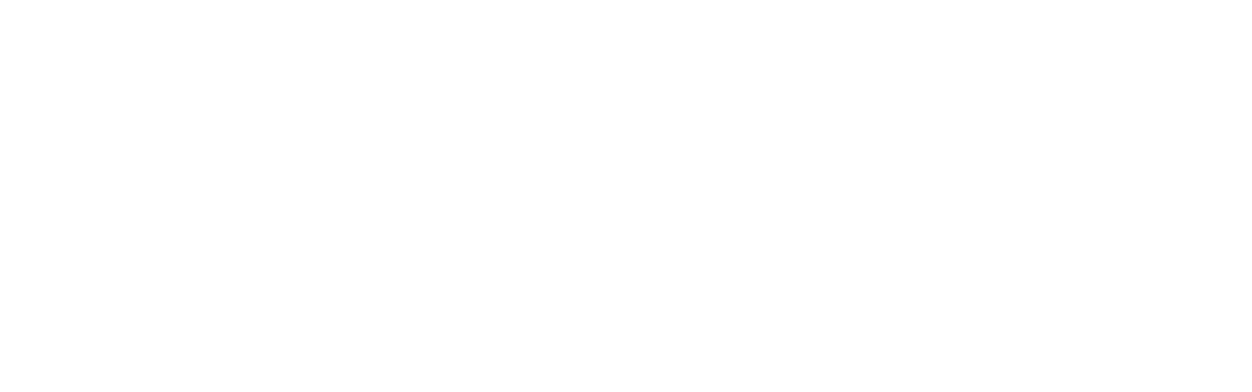 Optimus Techservices Logo_Final_v2_white