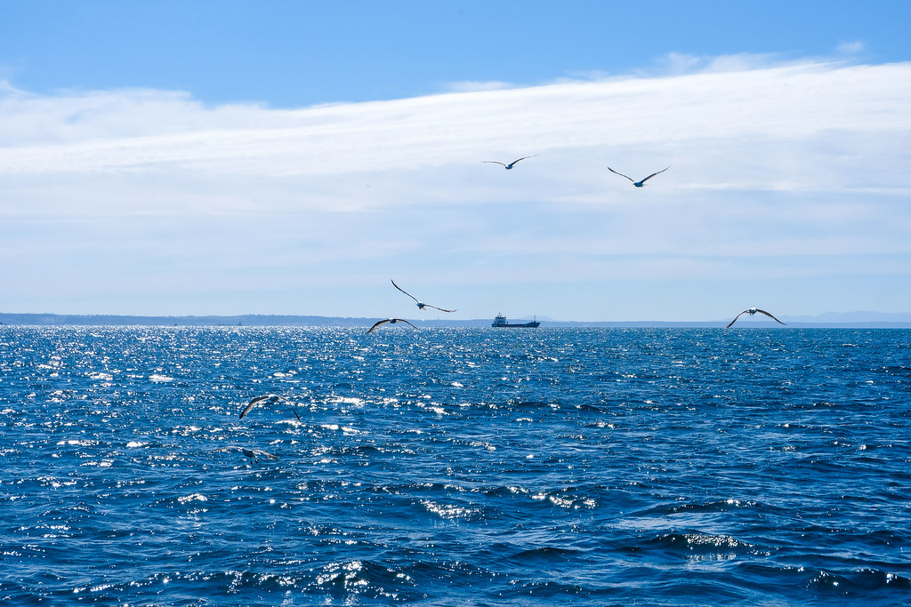 52173184460_1d0e6d81ef_b