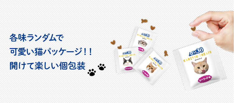 各味ランダムで可愛い猫パッケージ!!開けて楽しい個包装