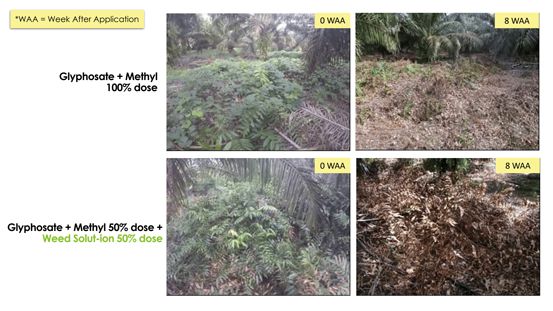 Trial Weed Solut-ion