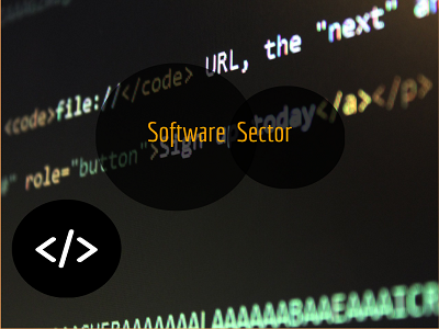 Patent Analytics Report Software Industry Patent Analytics Report Software Industry