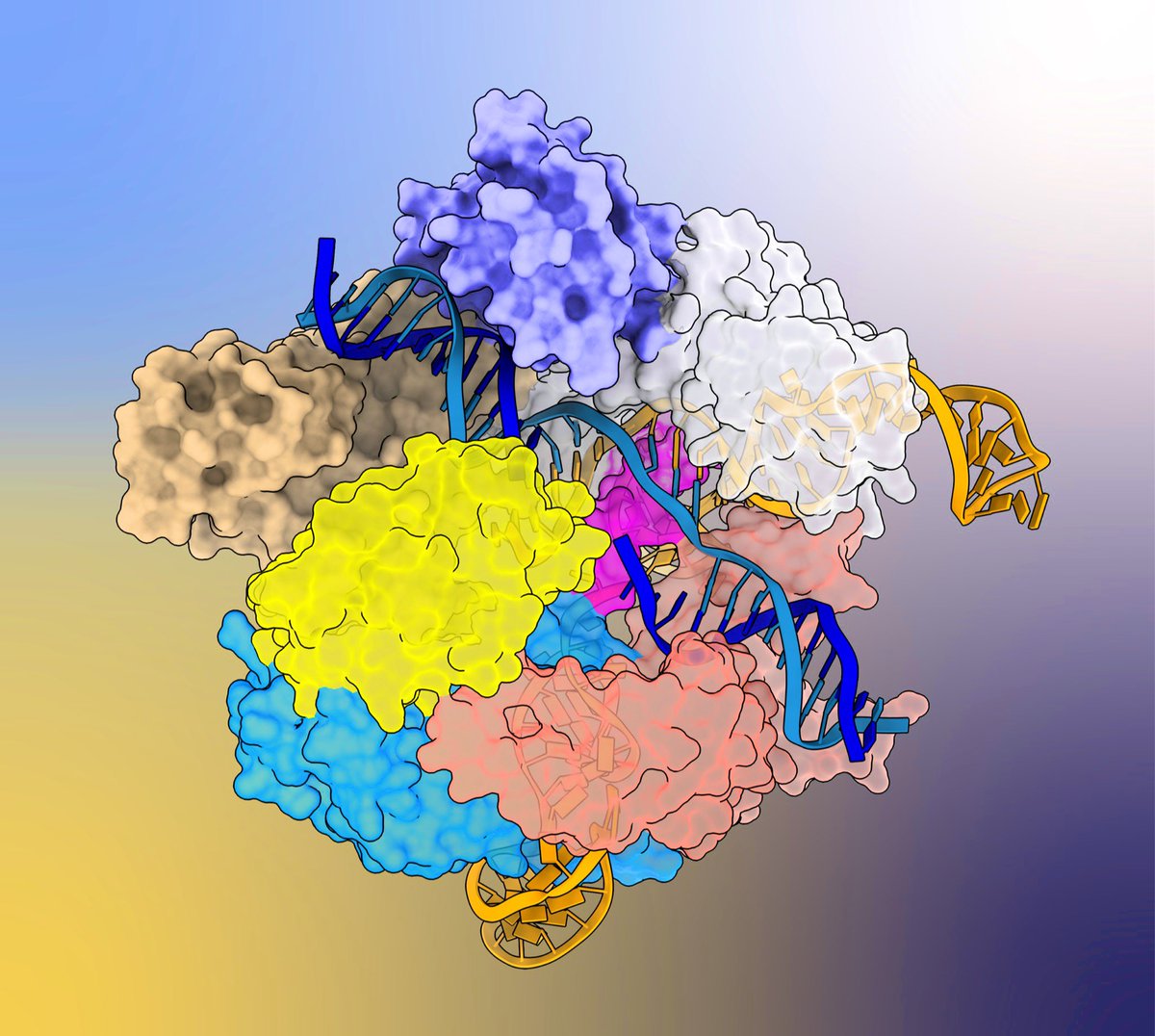 Cas9 bathing in its natural glory