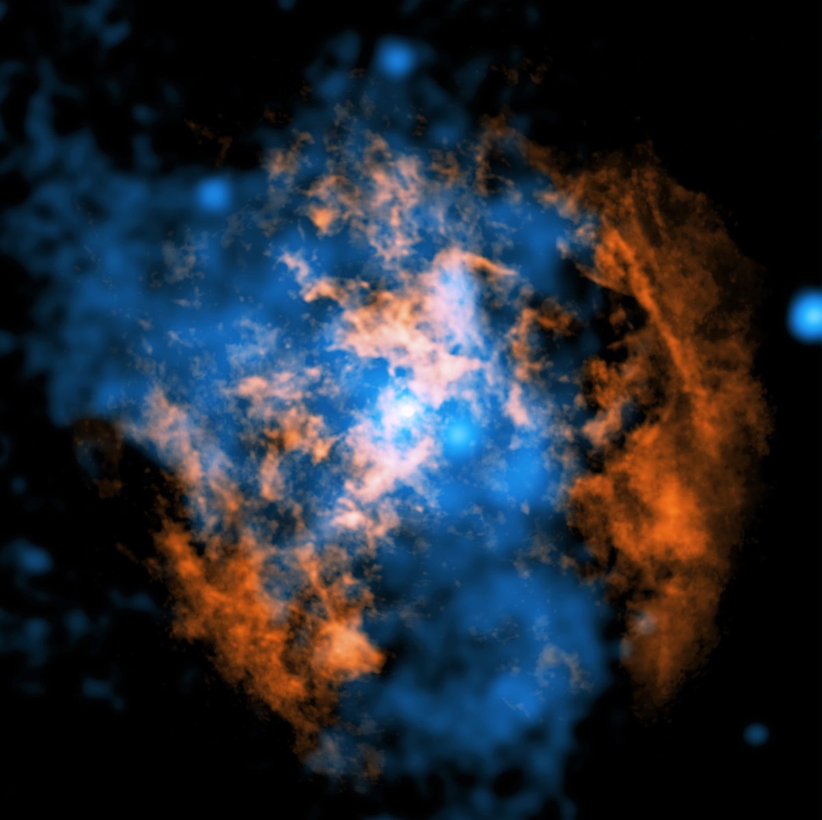 This composite image overlays data from the Atacama Large Millimeter/submillimeter Array and NASA’s Chandra X-Ray Observatory. It shows evidence for a wind blowing away from Sagittarius A* (Sgr A*), the supermassive black hole in the center of our galaxy. The white dot in the center of the image shows Sgr A*. In orange is data from ALMA radio telescopes in Chile, mapping the location of cold gas composed of carbon monoxide in the image. In blue is X-ray data from NASA’s Chandra X-ray Observatory. A large cone-shaped cavity, visible as an absence of cold gas in the ALMA data, is filled by hot X-ray-emitting gas in the Chandra data. Researchers think a hot, energetic wind blowing from Sgr A* created this structure by sweeping the cold gas away or heating it up.
Image Credit: Northwestern Univ./M. Gorski; X-ray: NASA/CXC/SAO; Radio: ESO/NAOJ/NRAO/ALMA