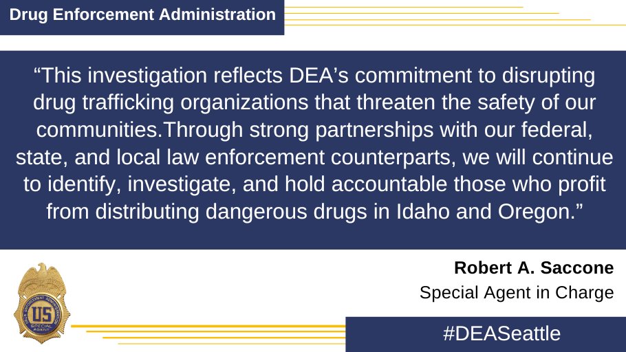DEA graphic with quote
