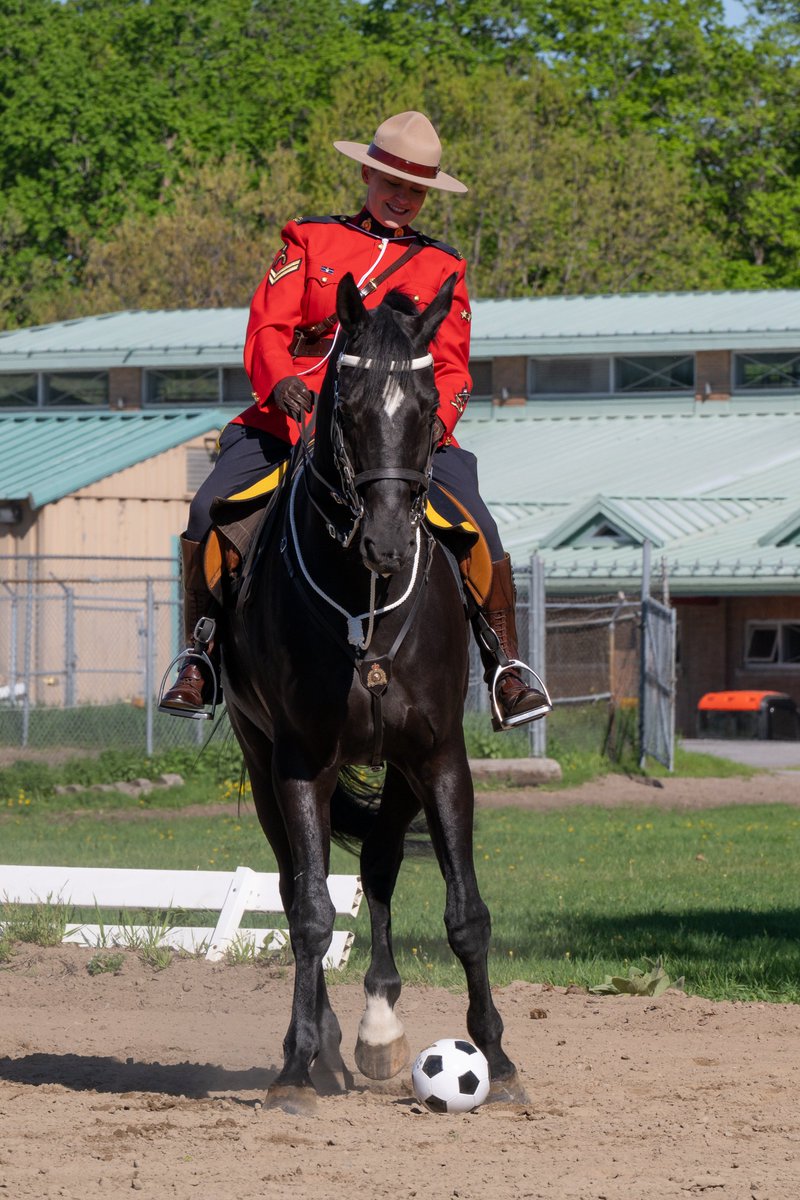 RCMP Musical Ride horse ridden by a member in red serge. The horse is kicking a black and white soccer ball.