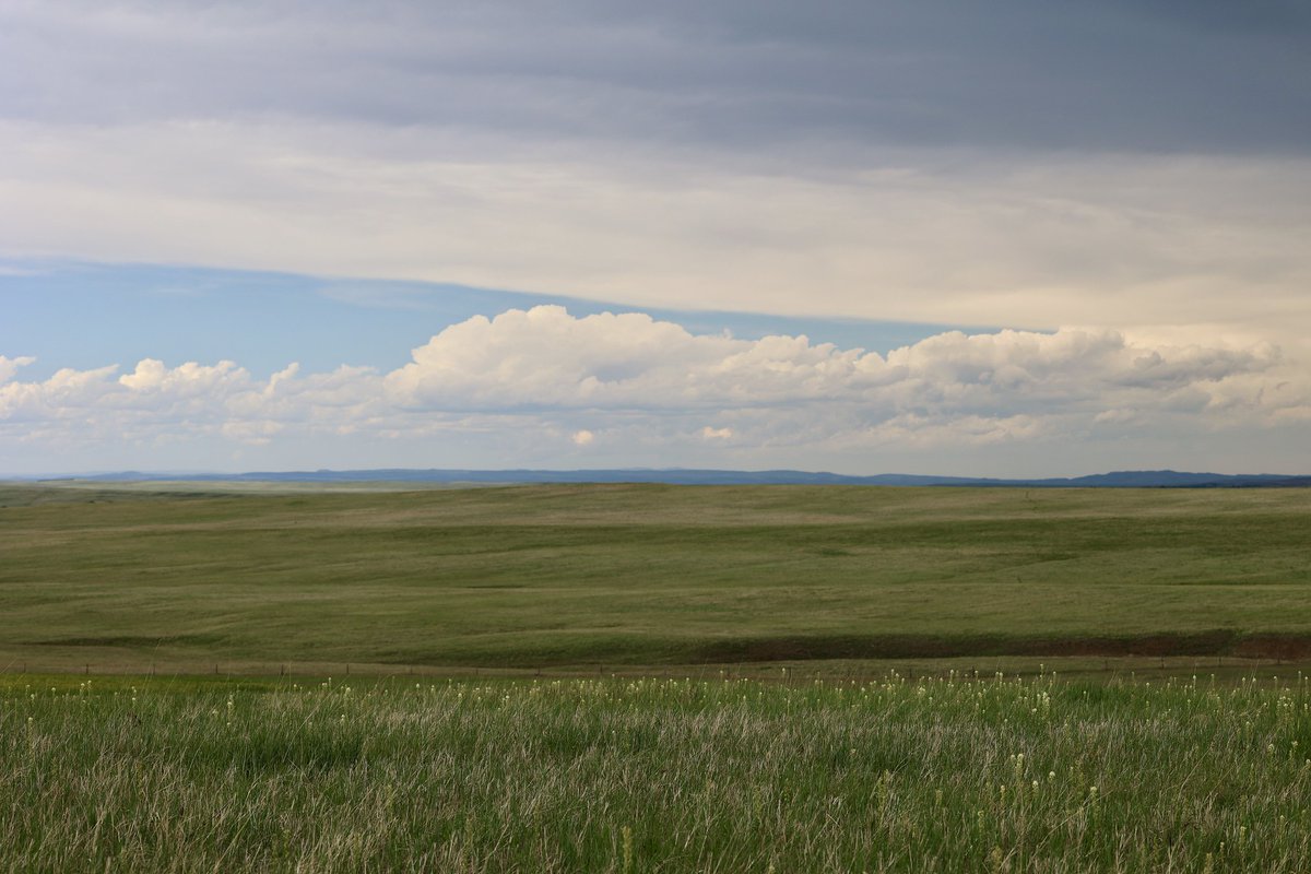 Photo of a field of grass with cloudy blue sky. Oglala National Grasslands.
(Forest Service photo by Charity L. Duggin)