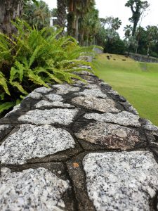 A close-up view of a stone wall covered in various shades of gray and brown stones, with a lush green fern growing along the side. In the background, there is a grassy area and palm trees lining the pathway, creating a serene and natural environment. The focus is primarily on the textured surface of the stone wall, with a shallow depth of field blurring the background slightly.