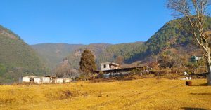 Amidst the Wilderness: A Clear Sky View of the Enchanting Forest Near Pharping, Dakshinkali