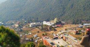 Nature’s Bliss: A Refreshing View of Gumba, Forest, Resort, and Cool Weather