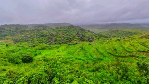 Mountain View in Meghalaya with an overcast sky