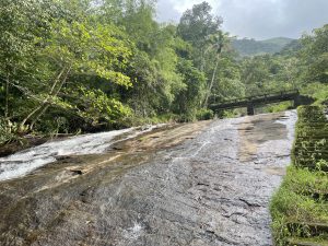 A bridge over a waterfall with trees and steps beside it