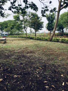Open garden area with sparse grass and dry leaves on the ground, surrounded by lush green trees, solar lights, benches, and an outdoor fitness setup.