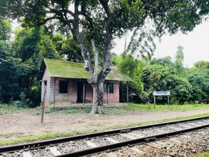 An old, rural train station building at Singerbil, Brahmanbaria, sits beside the tracks surrounded by trees.