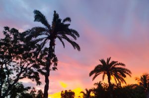 Village summer sunset.