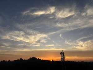 A golden sunrise over trees, with a silhouetted communication tower against the morning sky.