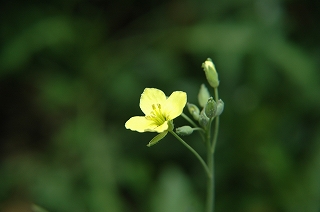 \'05\'09\'02 ブログに挑戦_e0064576_233497.jpg