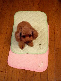 カフェマット パート2_d0014690_21335112.jpg