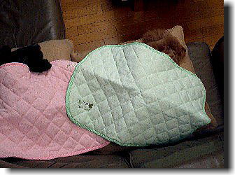 カフェマット パート2_d0014690_21481980.jpg