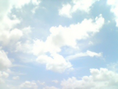 海辺セッション のち 祝!おぎゃぁ~(>_<)_f0053734_063896.jpg