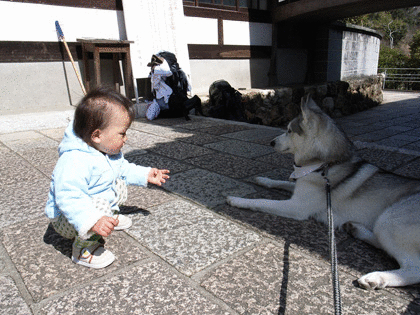 春遍路 第2日め 3月7日~竹林寺_c0049299_22114910.gif
